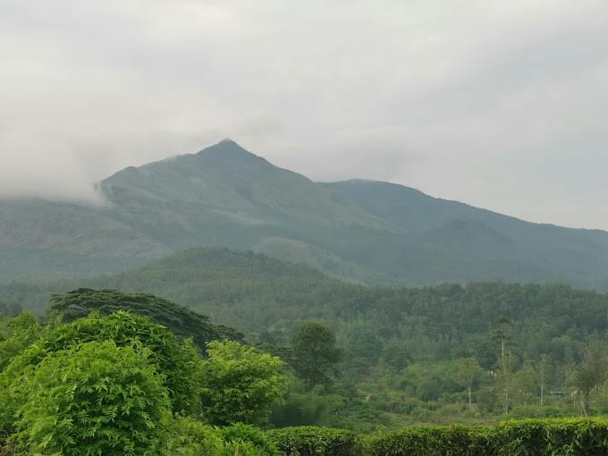 Chembra Peak cabs