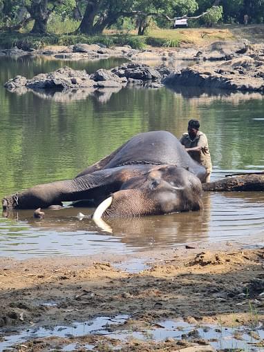 Dubare Elephant Camp cabs