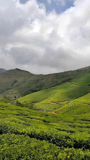 Eravikulam National Park Cabs