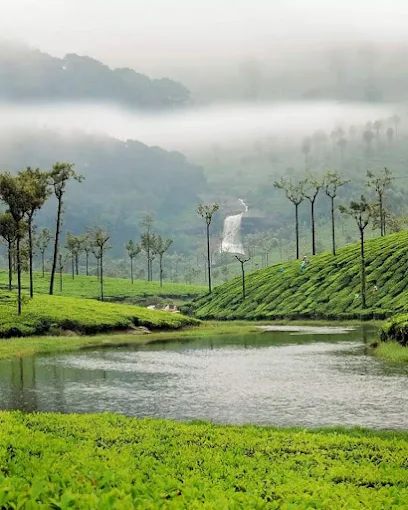Kodaikanal Lake cabs