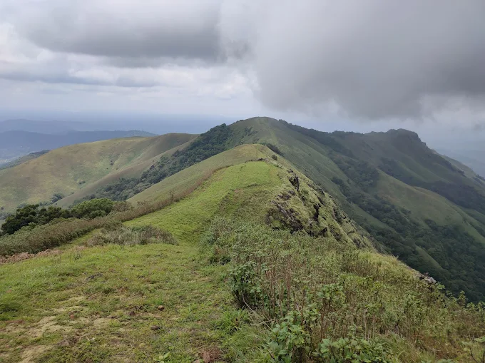 Wayanad Wildlife Sanctuary veecabs